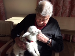 Dad With A Baby Lamb