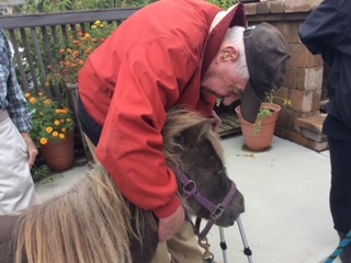 Dad With Donkey